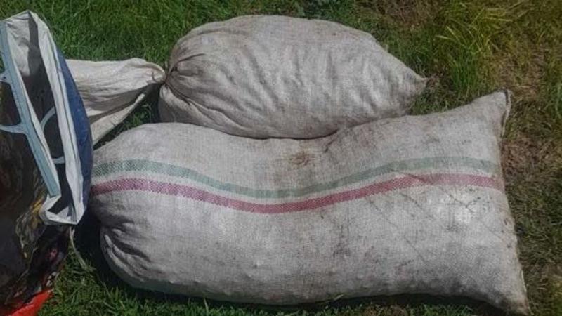Amikor a hatalmas csomagokkal megállították a férfit, hirtelen valami furcsa dolog kezdett kúszni a zsák mélyéről.