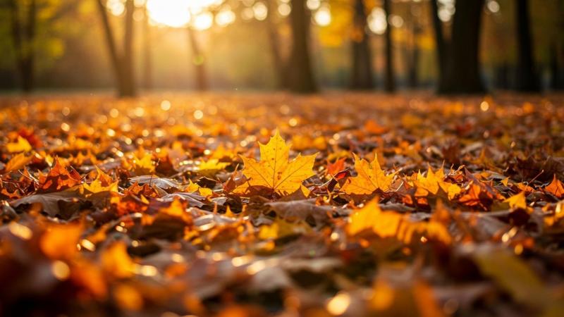 Kedden is várhatóan izgalmas fordulatokat hoz az időjárás a környékünkön.