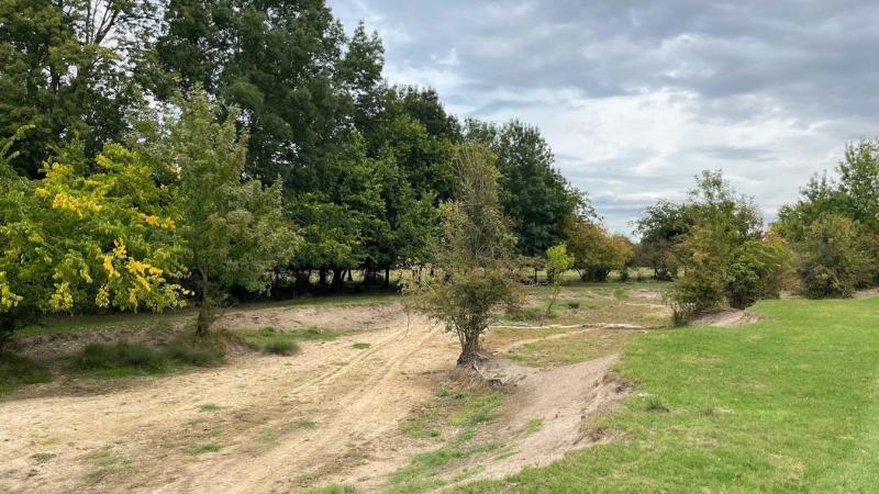 Szívszorító a helyzet: a Jászkunság melletti folyóban egyetlen csepp víz sem található már.