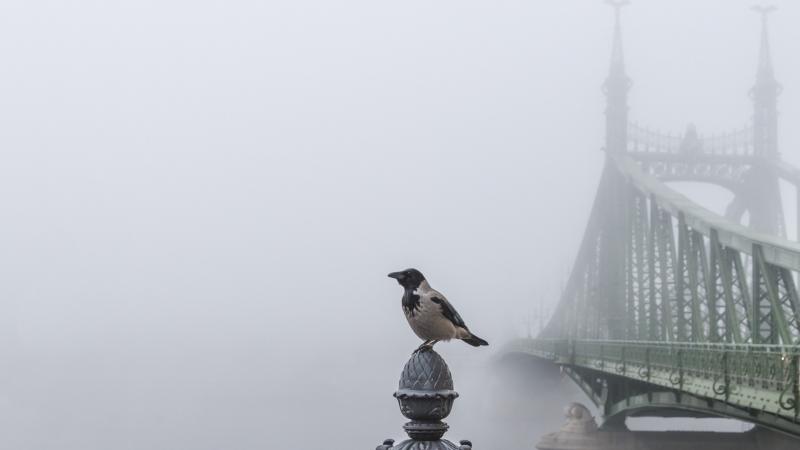 Budapestre teljes körű sztrájk lehetősége fenyeget, miután a szakszervezetek figyelmeztető üzenetet adtak ki.