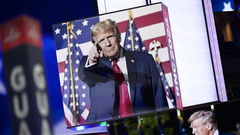 Dani Rodrik: Miért hajlik meg szinte mindenki Trump előtt?