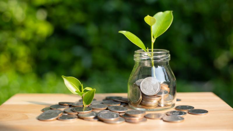 Fakad a botrány az agrártámogatások körül: egyre többen fejezik ki véleményüket - Agrárium hírek