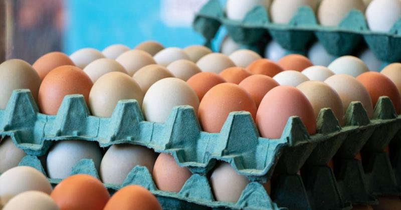 Tojás a konyhában: A biztonságos tárolás titkai lépésről lépésre

A tojás az egyik legkedveltebb és legsokoldalúbb alapanyag a konyhában, de fontos, hogy megfelelően tároljuk, hogy megőrizzük frissességét és elkerüljük az esetleges élelmiszer-biztonsági p