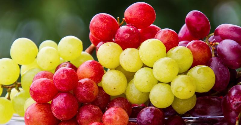 A gyümölcsdiétával akár 10 kilót is leadhatsz az év végéig! Fedezd fel a friss gyümölcsök jótékony hatásait, és élvezd a változatos ízeket, miközben formába lendülsz.